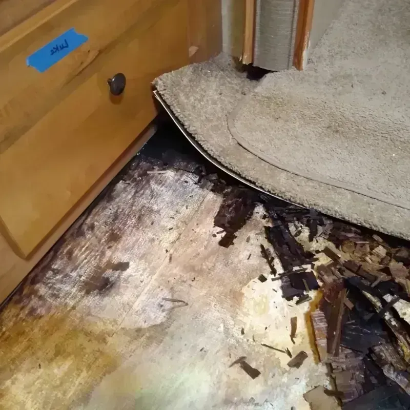 Wood Floor Water Damage in Asbury Park, NJ